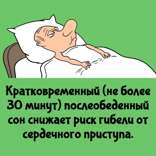 Полезные и любопытные факты