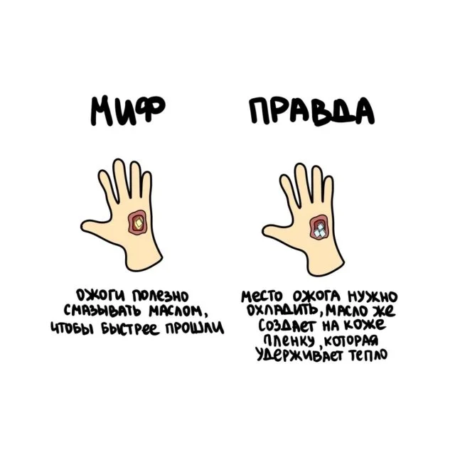 Познавательные факты