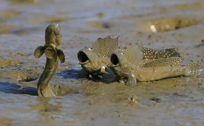 20 смешных и милых моментов, которые помогают лучше разобраться в мире