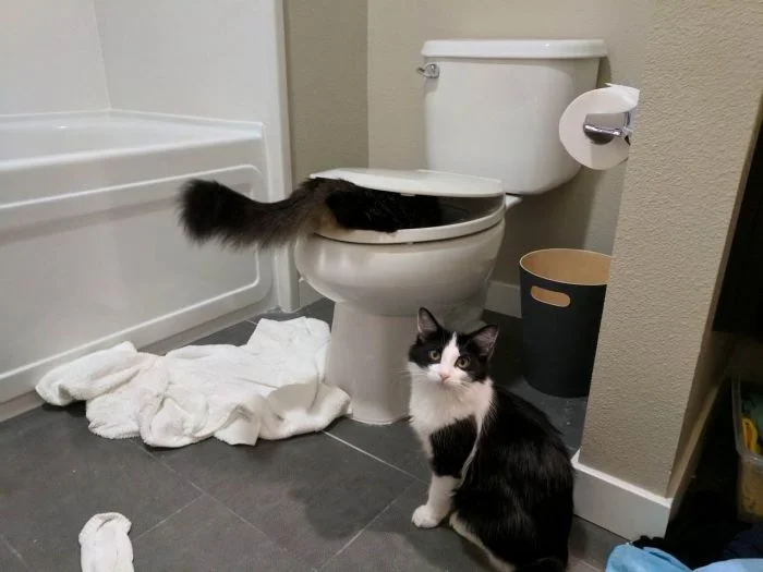 22 хулиганских проделки, после которых хочется простить и обнять