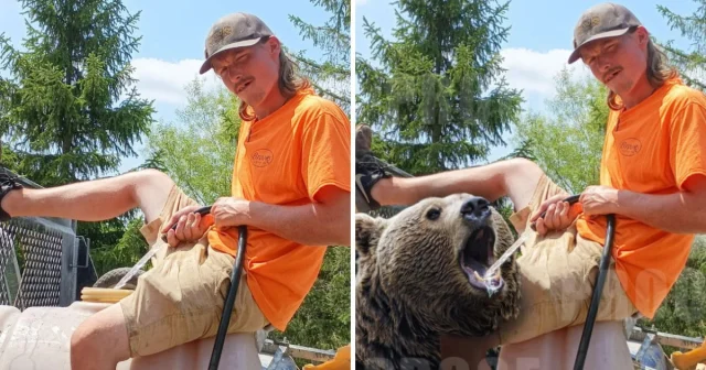 Подборка забавного фотошопа