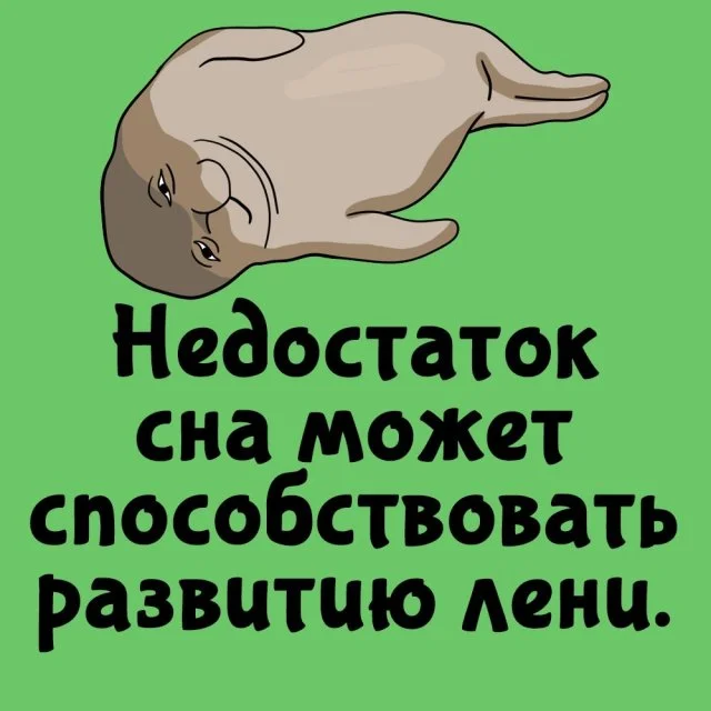 Факты, которые будут полезны в любой ситуации