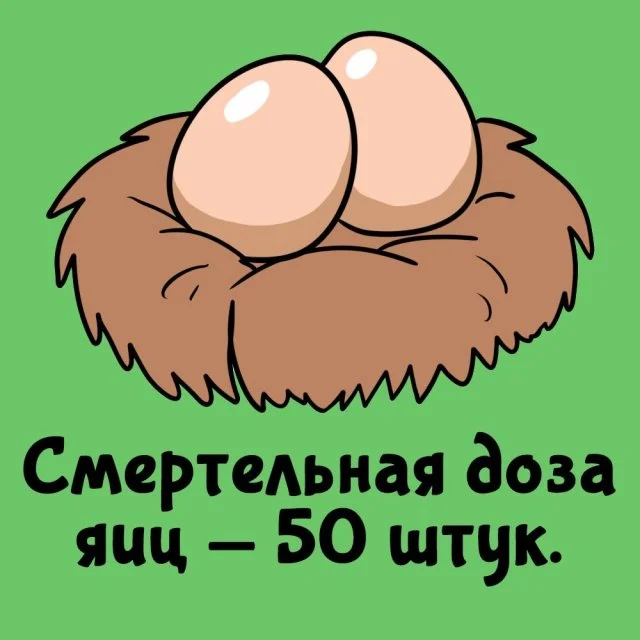 Удивительные факты для любой ситуации