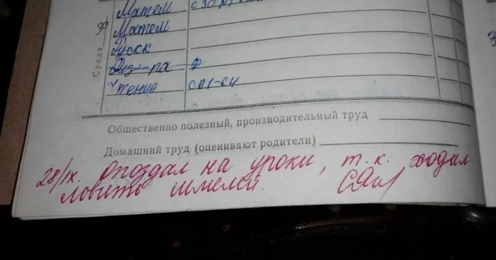 16 смешных комментариев учителей в школьных дневниках