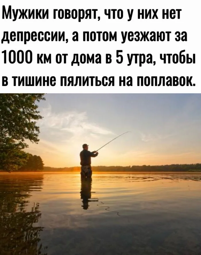 Скрины из соцсетей