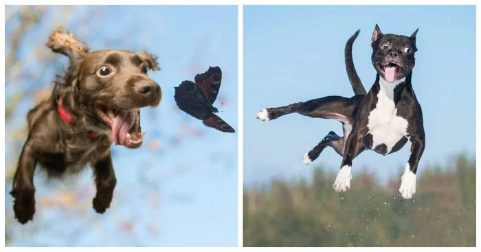 25 впечатляющих прыжков и их потрясающие исполнители