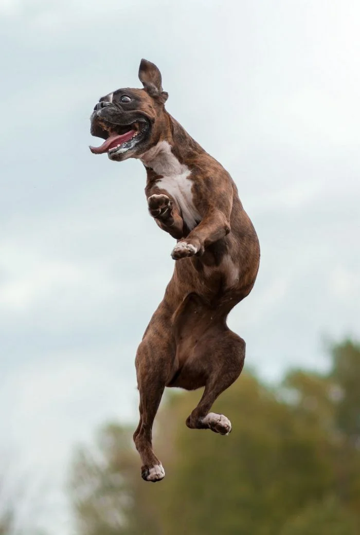 25 впечатляющих прыжков и их потрясающие исполнители