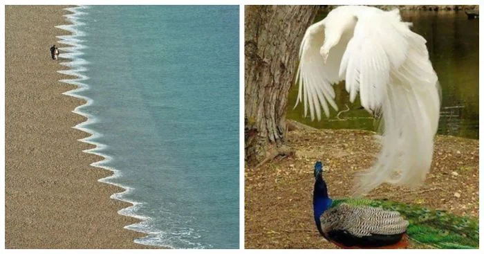 15 удивительных снимков, раскрывающих волшебство и мощь природы