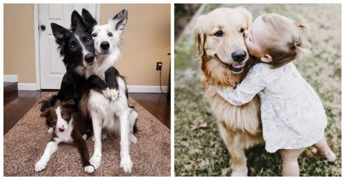 22 примера объятий, которые дарят уют и надёжность