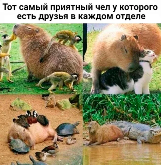 Скрины из соцсетей