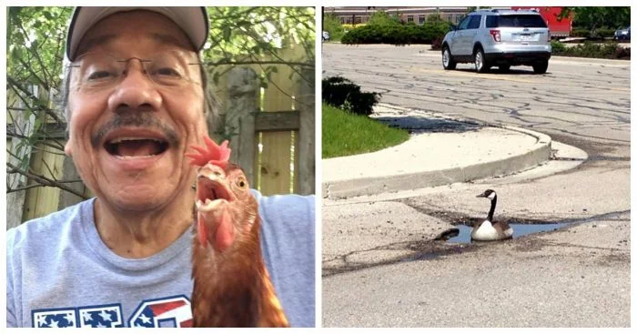 22 чудесные птицы и символический жест в их честь