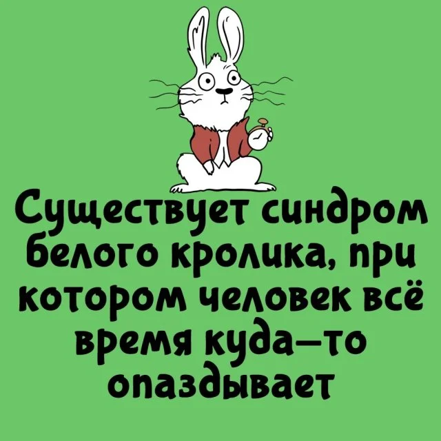 Любопытные факты, которые пригодятся в любой ситуации