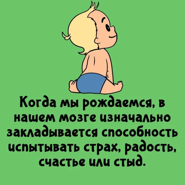 Любопытные факты, которые пригодятся в любой ситуации