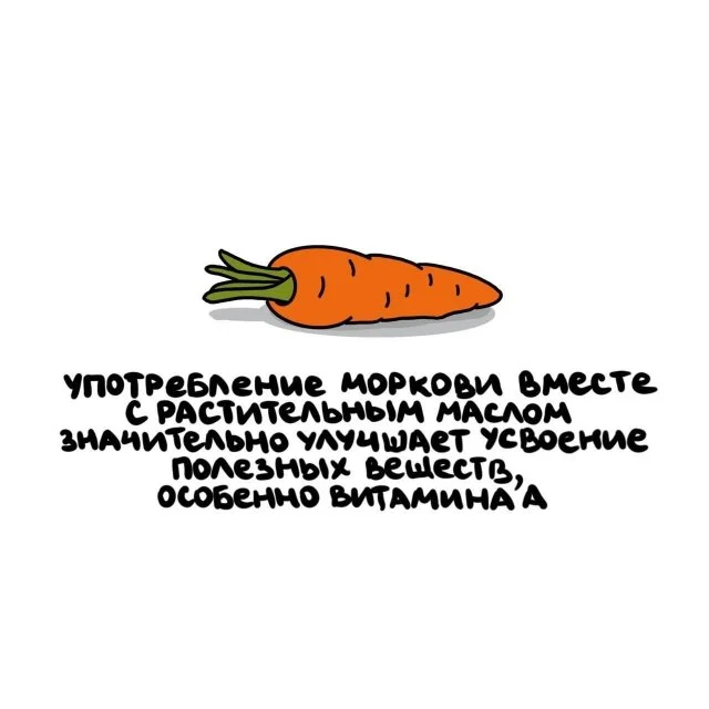 Забавные и полезные факты