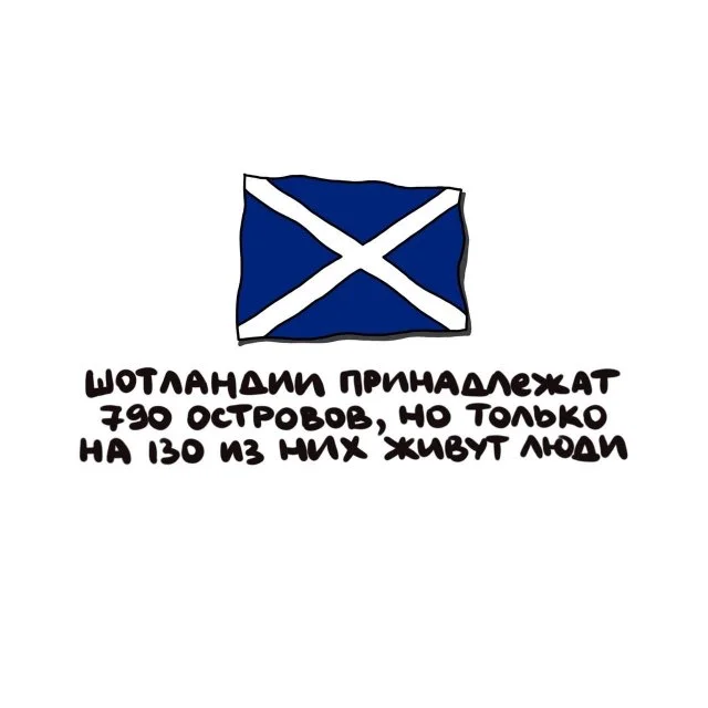 Забавные и полезные факты