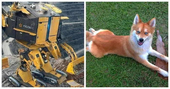 Пользователи делятся: 13 интересных открытий, о которых стоит узнать