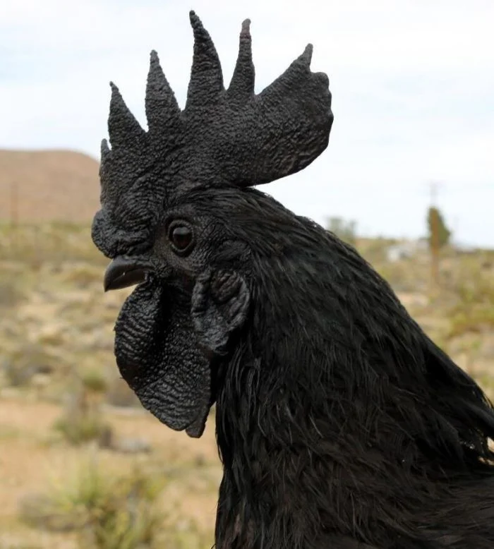 Пользователи делятся: 13 интересных открытий, о которых стоит узнать