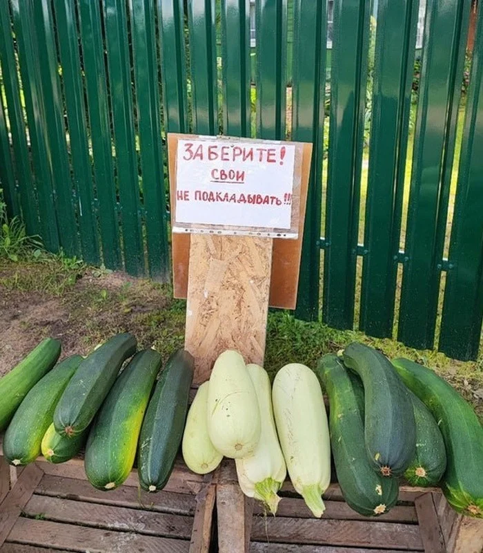 Скрины из соцсетей