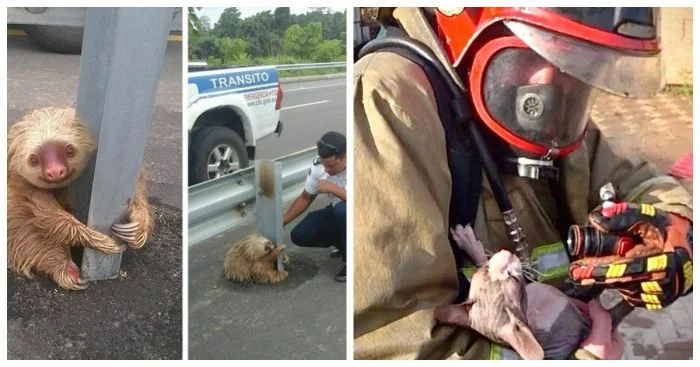 15 примеров, подтверждающих, что доброта может изменить мир