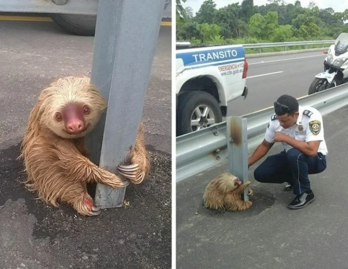 15 примеров, подтверждающих, что доброта может изменить мир