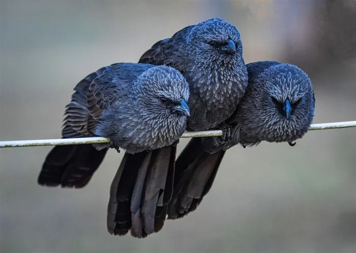 Подборка на общую тему