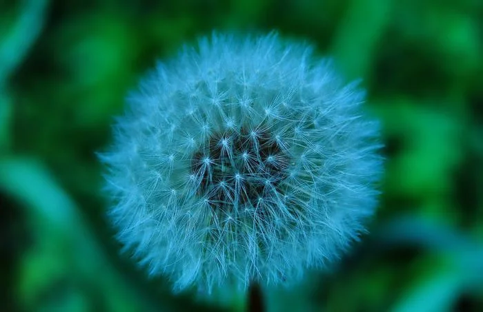 Подборка на общую тему