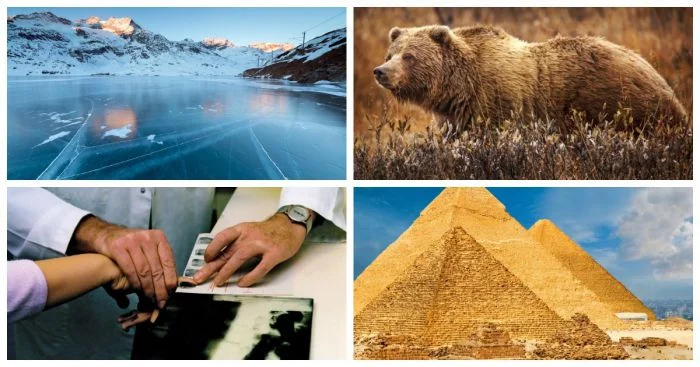 Малоизвестные факты: 20 удивительных открытий, которые перевернут ваше представление о мире