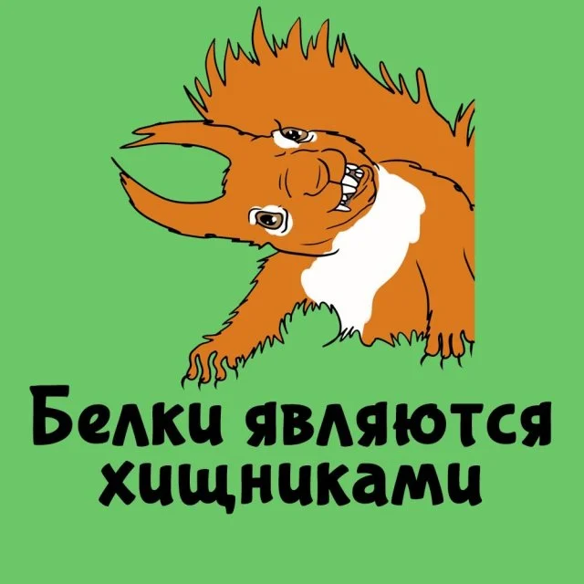 Занимательные факты