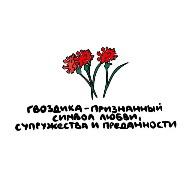 Увлекательные факты для любых ситуаций