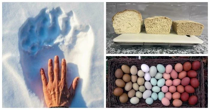 25 снимков, раскрывающих удивительное разнообразие жизни