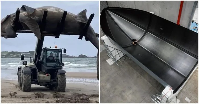 14 фотографий, показывающих настоящие размеры гигантских объектов