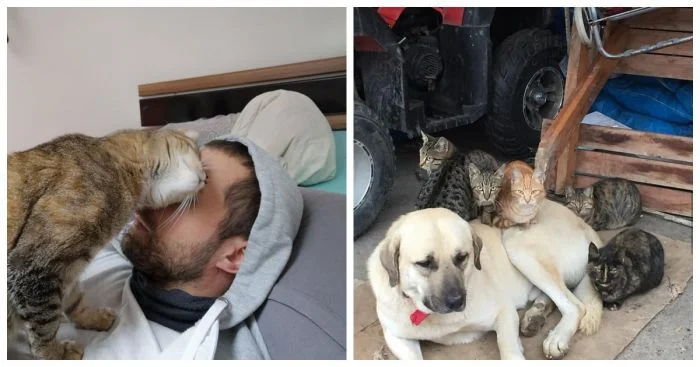 18 животных, излучающих чистую доброту