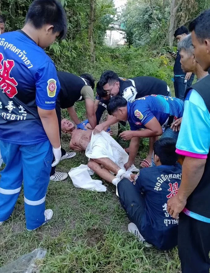 В Таиланде мужик пытался изнасиловать корову, но она его забодала