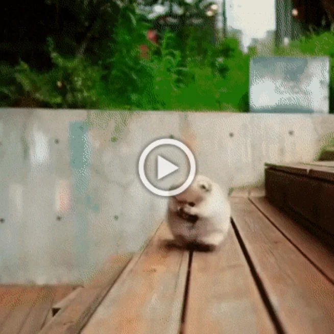 Гифки, всякие и разные