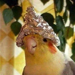 В каком доме вы побывали и решили: 'Больше сюда ни ногой'?