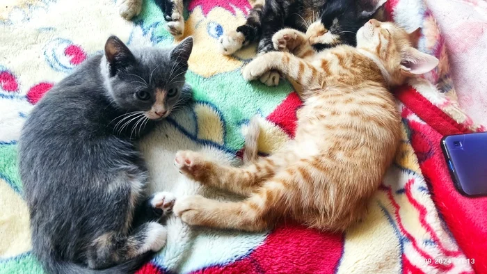 Поделитесь своими хитростями: Что вы делаете, в чем другие не верят?