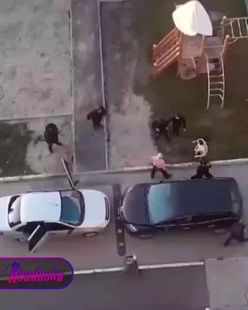 Многодетная семья в Новосибирске подверглась нападению цыган с палками и гвоздями