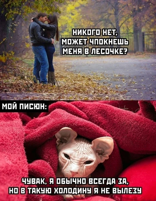 Юмор в картинках и без