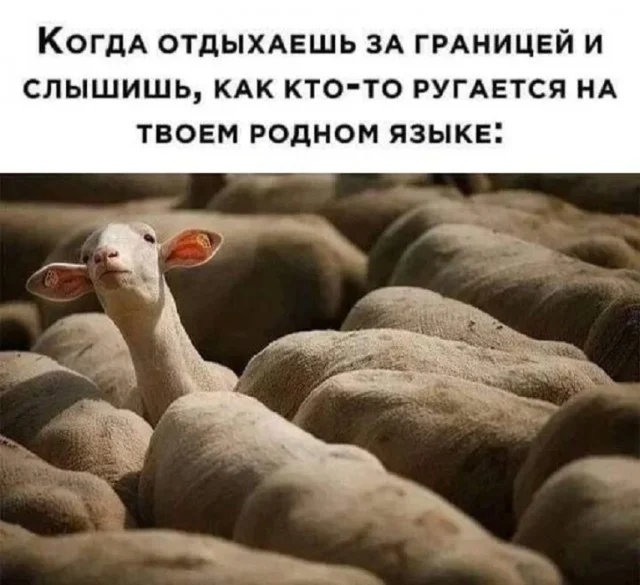 Картинки разные с надписями и без