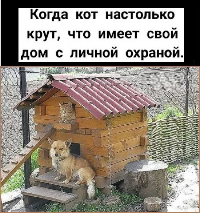 Картинки разные с надписями и без