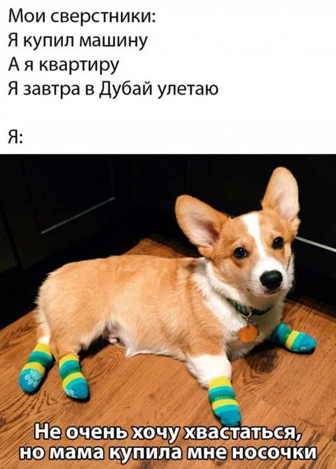 Прикольные картинки #1