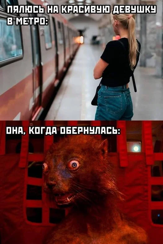 Прикольные картинки с надписью и не только