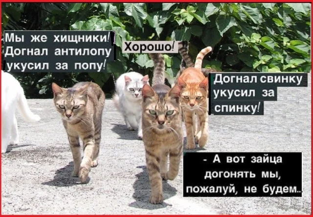 Картинки разные с надписями и без