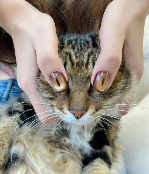 Свежие мемы и приколы