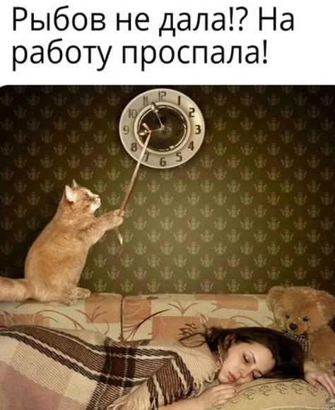 Прям очень прикольные картинки