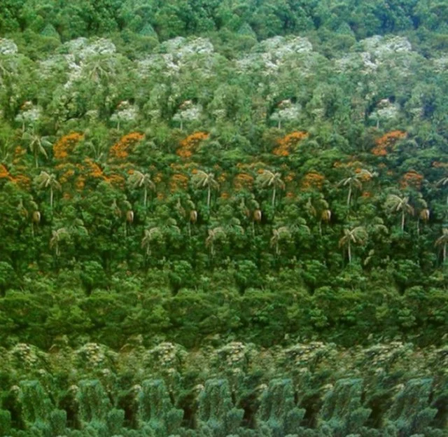 Разнообразие 3D-картинок: легкие и сложные визуальные иллюзии