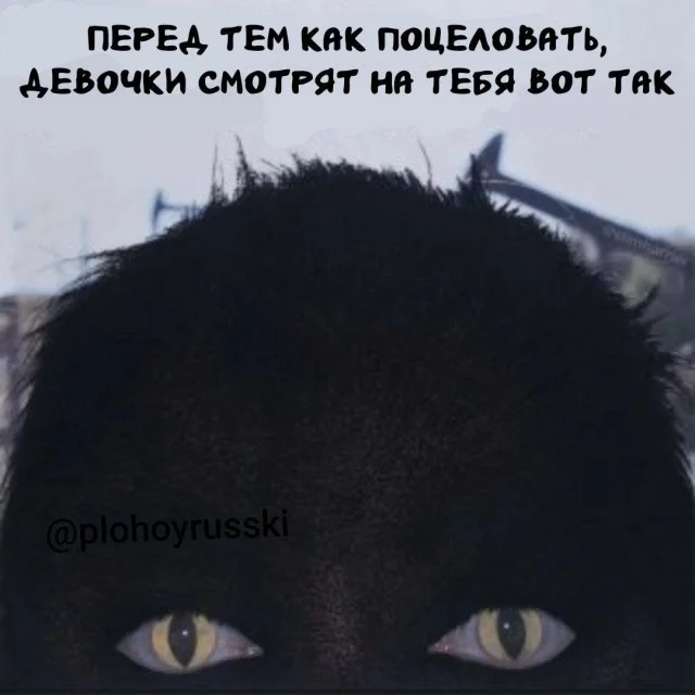 Юмор для взрослых