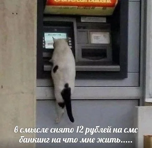 Нестандартный юмор #114