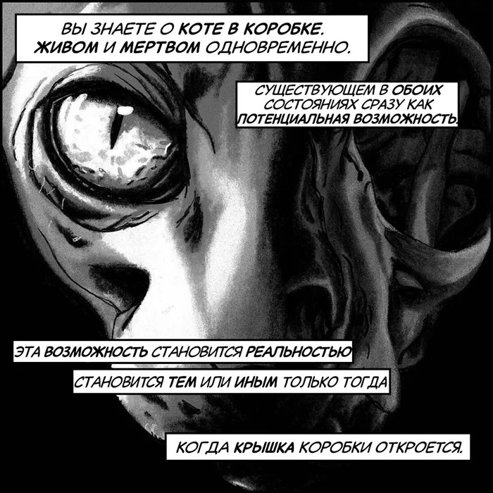 Комикс: "Кот Шредингера⁠⁠"
