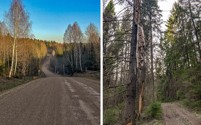 Забытые домики на берегу Камы: столовая, кинотеатр, библиотека, и ни одной живой души